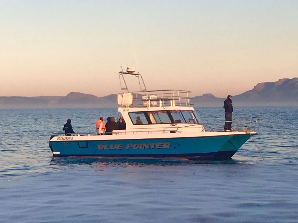 Shark cage diving boat launching into False Bay Cape Town