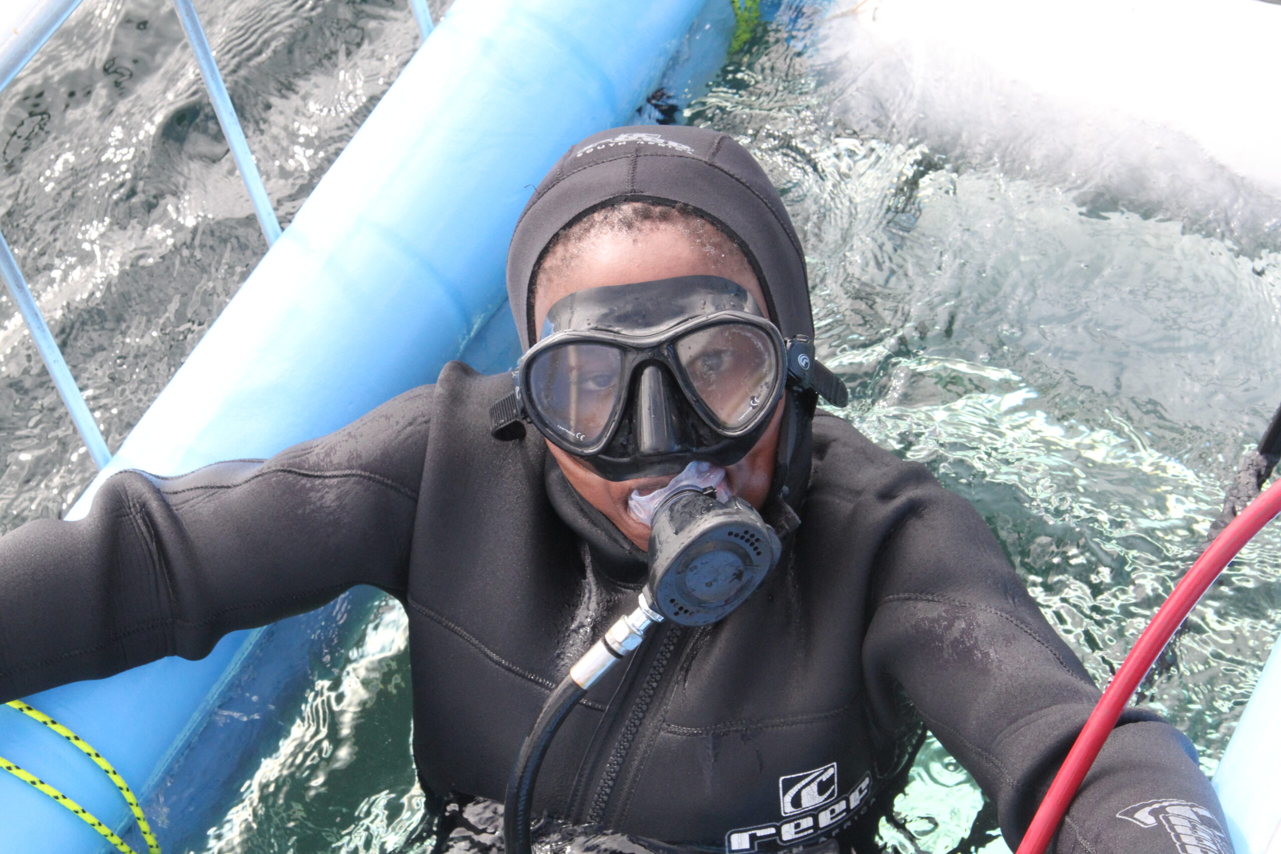 Diver experiencing shark cage diving